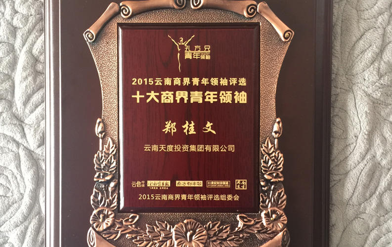 在“互聯(lián)網(wǎng)大時(shí)代”的背景下，天度作為本土很大和很有名的互聯(lián)網(wǎng)服務(wù)企業(yè)，為近萬家傳統(tǒng)企業(yè)轉(zhuǎn)型互聯(lián)網(wǎng)+提供了服務(wù)和幫助，獲此獎(jiǎng)項(xiàng)后，我們將再接再厲，創(chuàng)造更高的社會(huì)價(jià)值